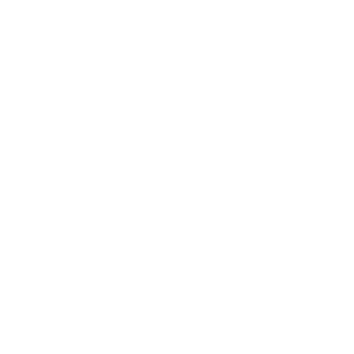 social media advertising