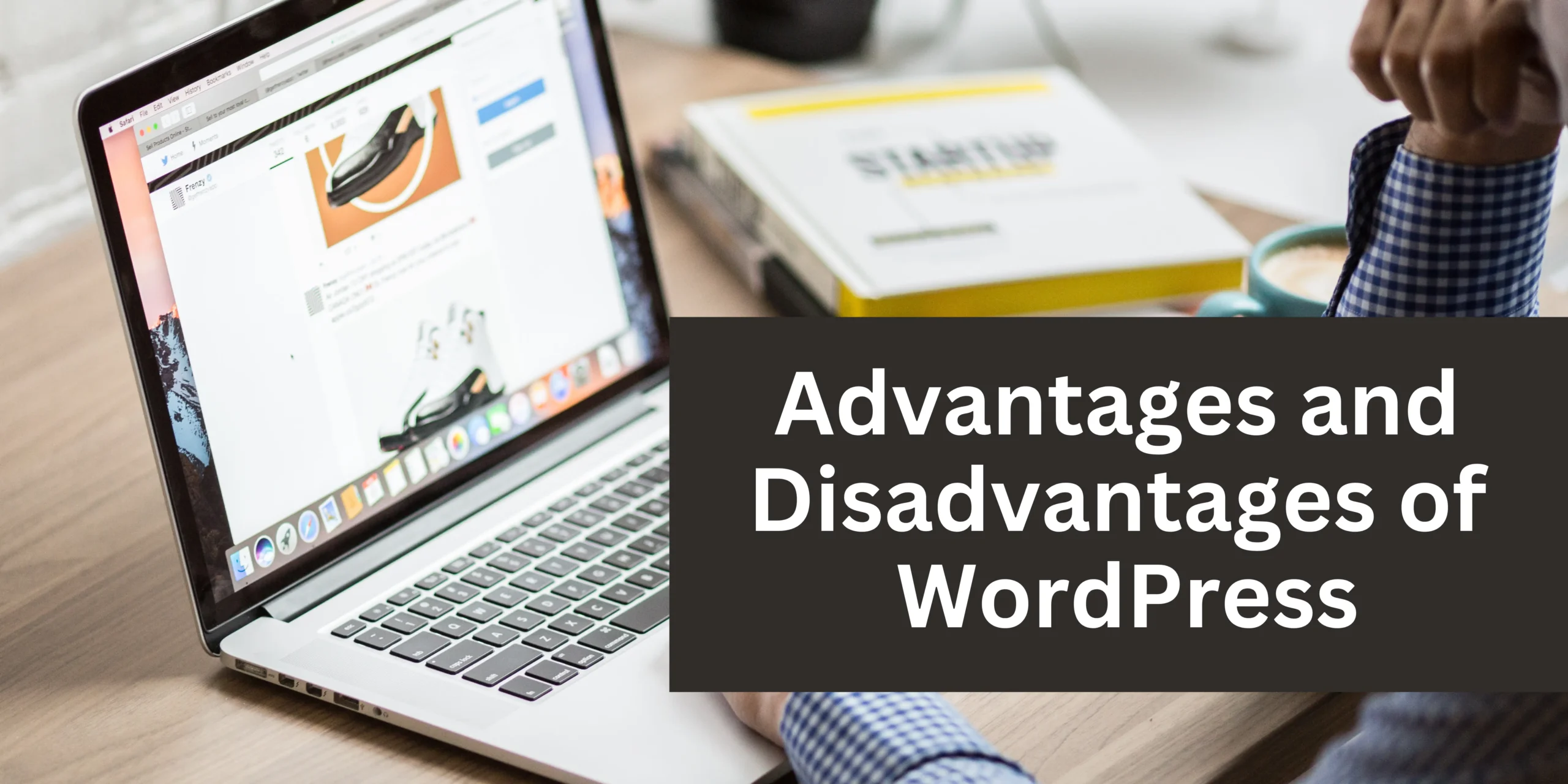 Advantages and Disadvantages of WordPress